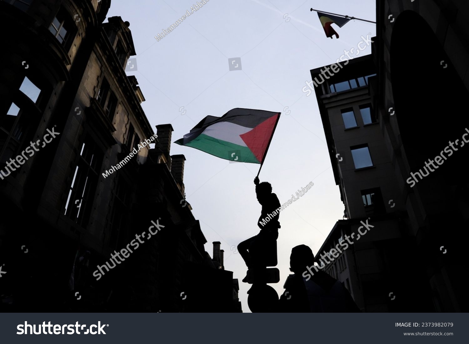 Palestinian flag, during a demonstration in Brussels #2373982079