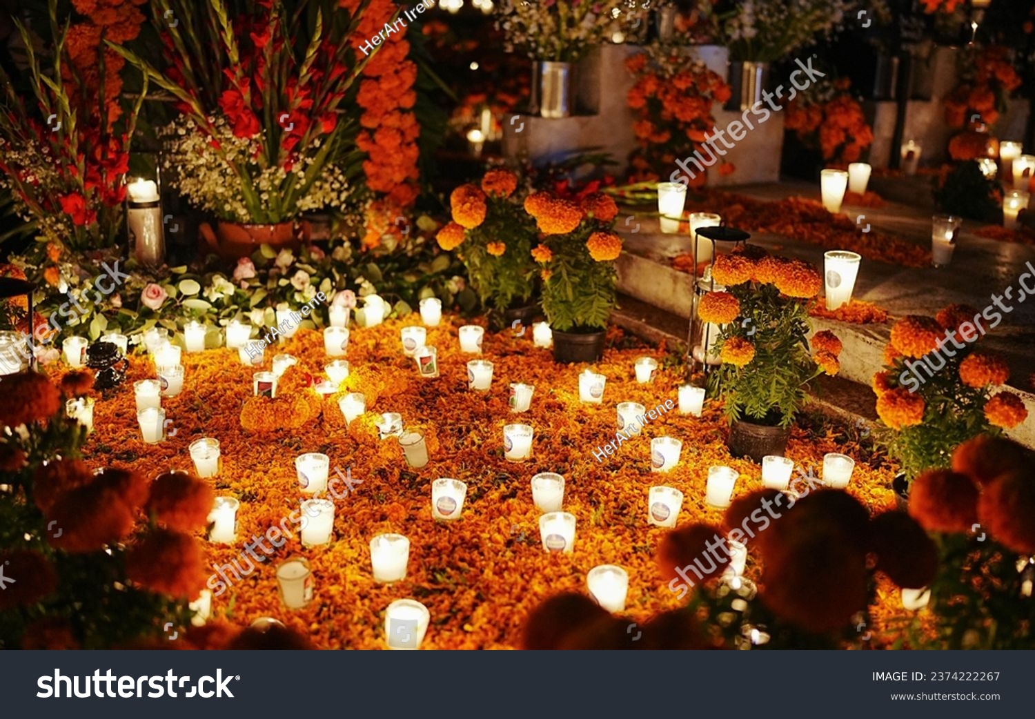 Celebration of the Dia de Muertos (Day of the dead) in Mexico #2374222267