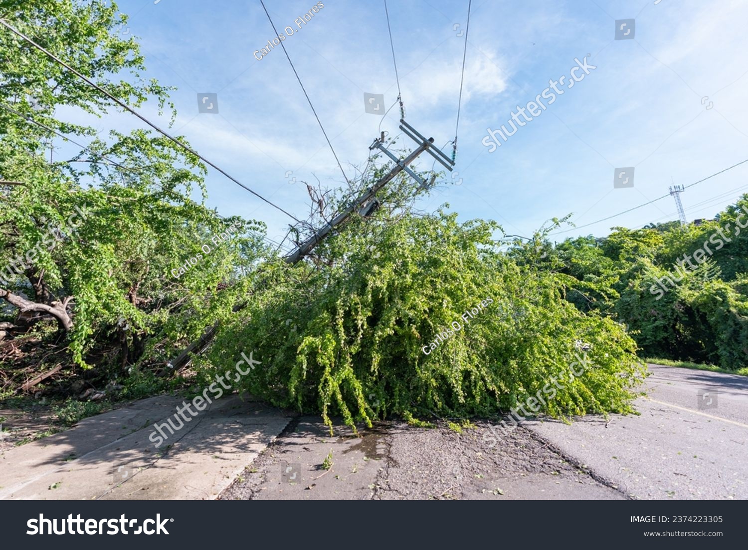 Downed Power Pole After Hurricane Passes Through #2374223305