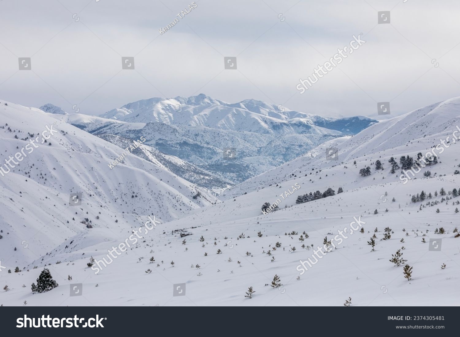 winter landscape with snowy mountains and trees #2374305481
