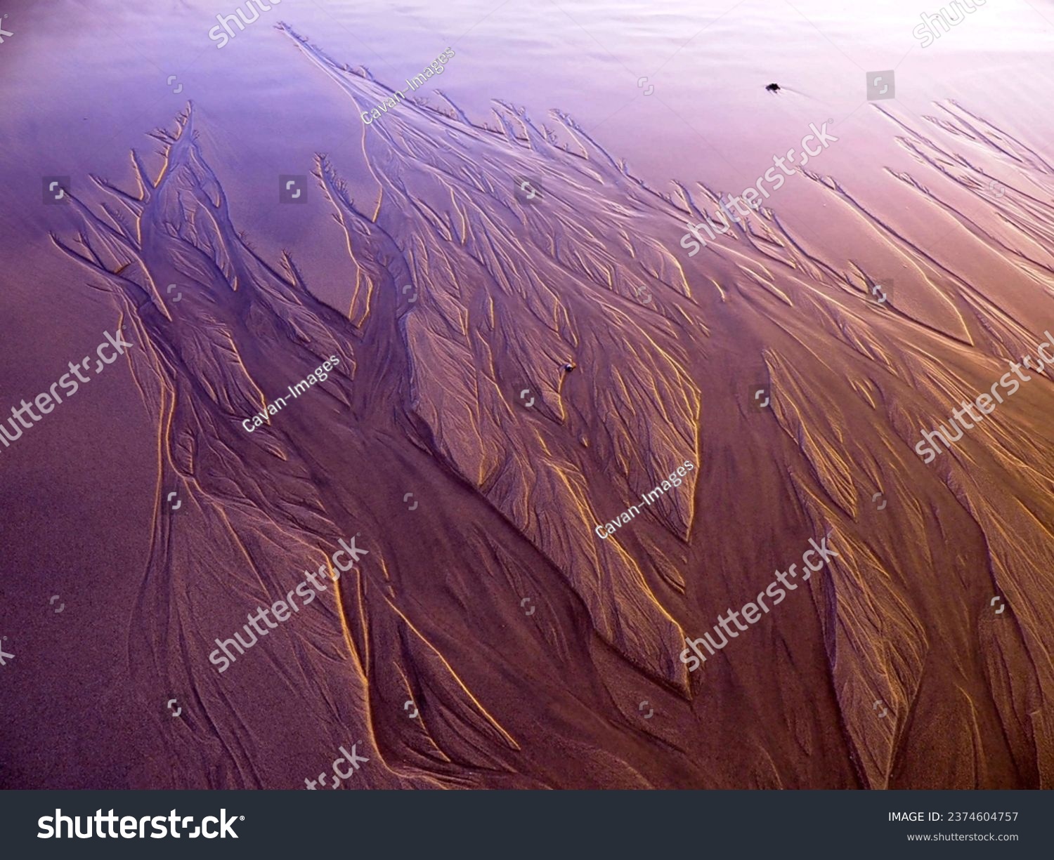Visual metaphors about sand- Matosinhos #2374604757