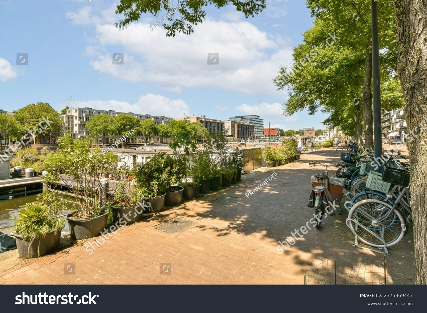 a bike parked next to a tree on the side of a river with buildings in the background and blue sky #2375369443