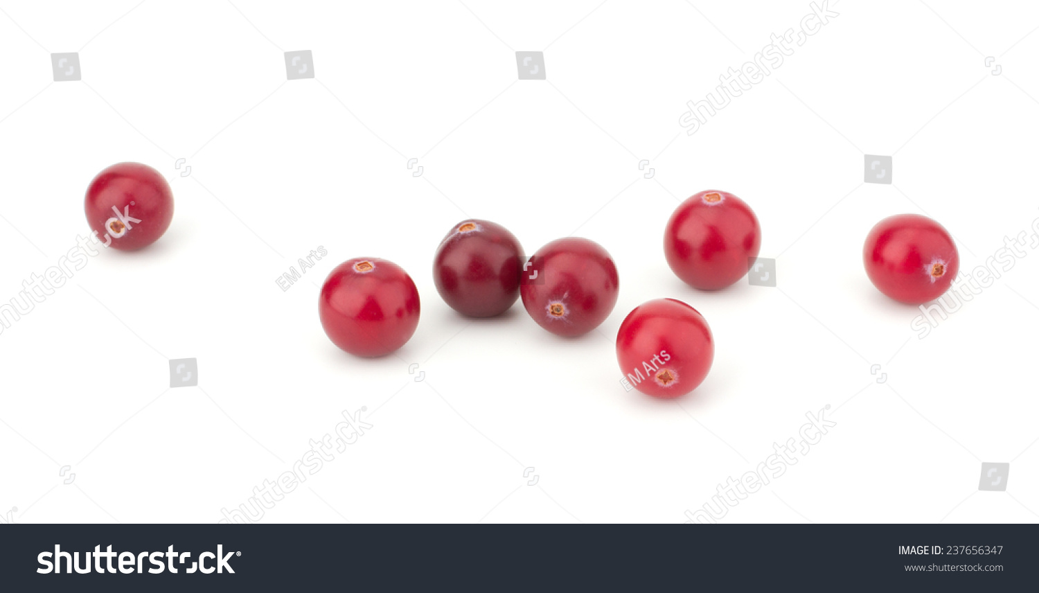 Cranberry isolated on white background closeup #237656347