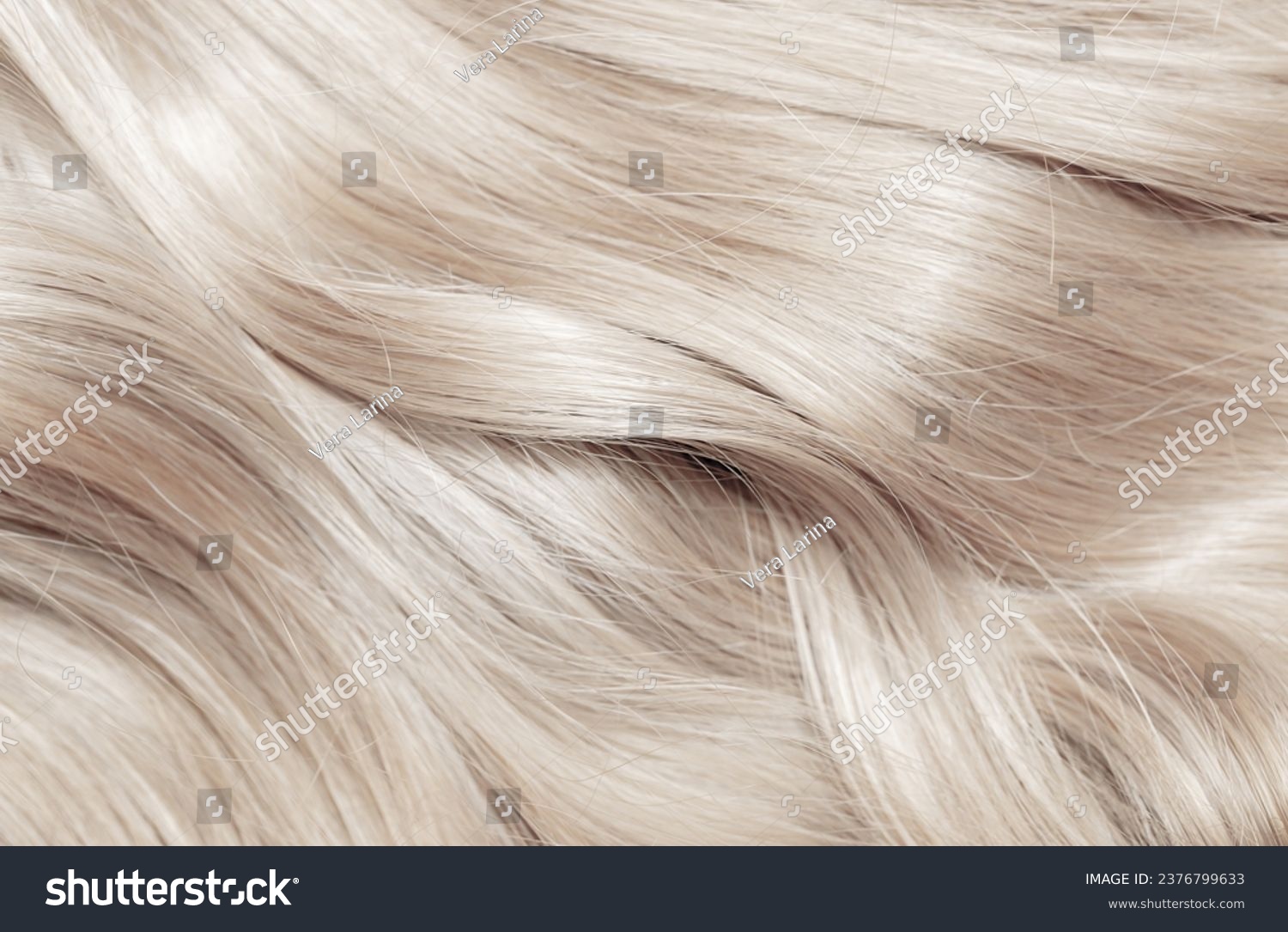 Blond hair close-up as a background. Women's long blonde hair. Beautifully styled wavy shiny curls. Hair coloring. Hairdressing procedures, extension. White hair #2376799633