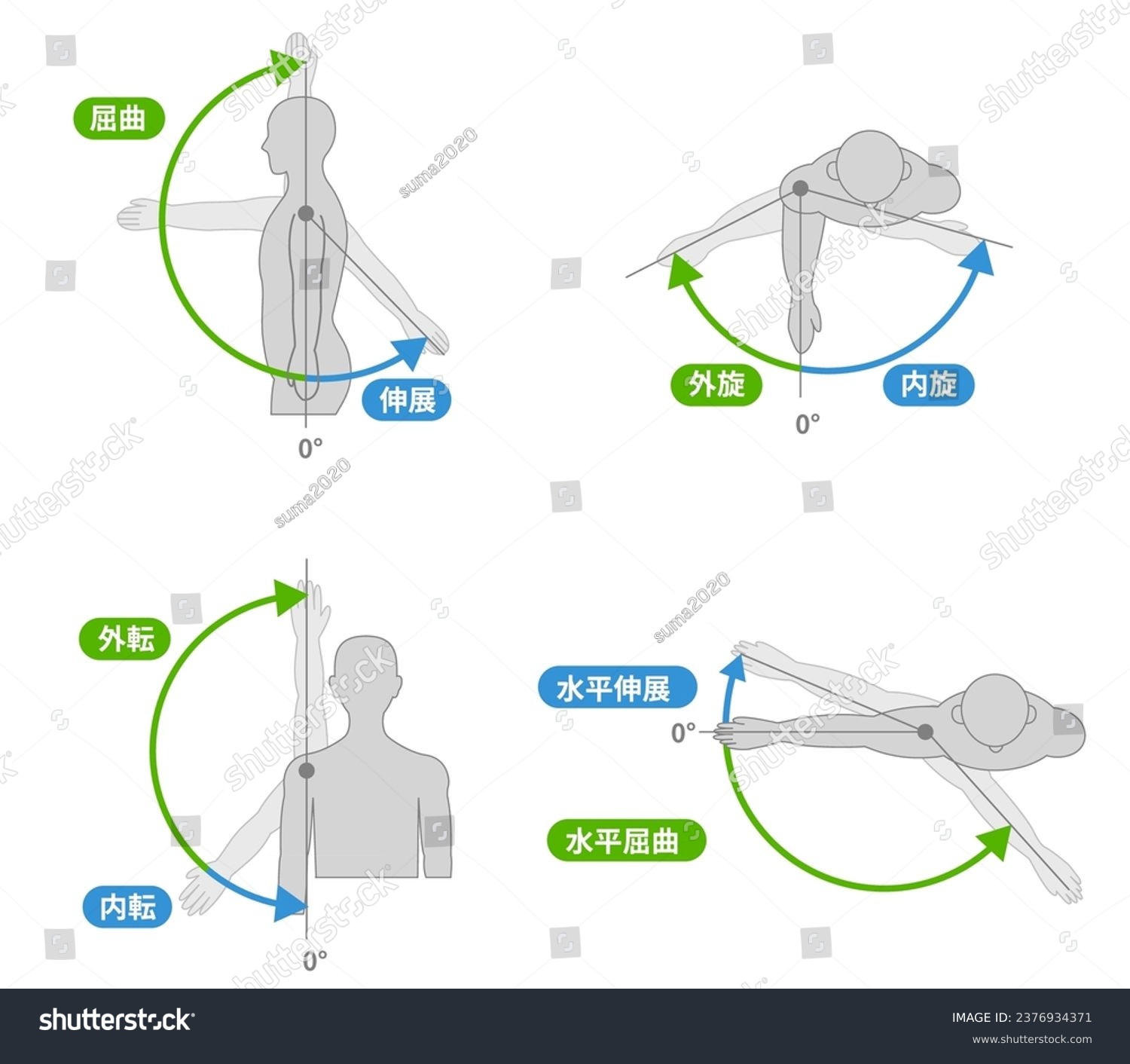 Shoulder joint motion and direction of motion - Royalty Free Stock ...