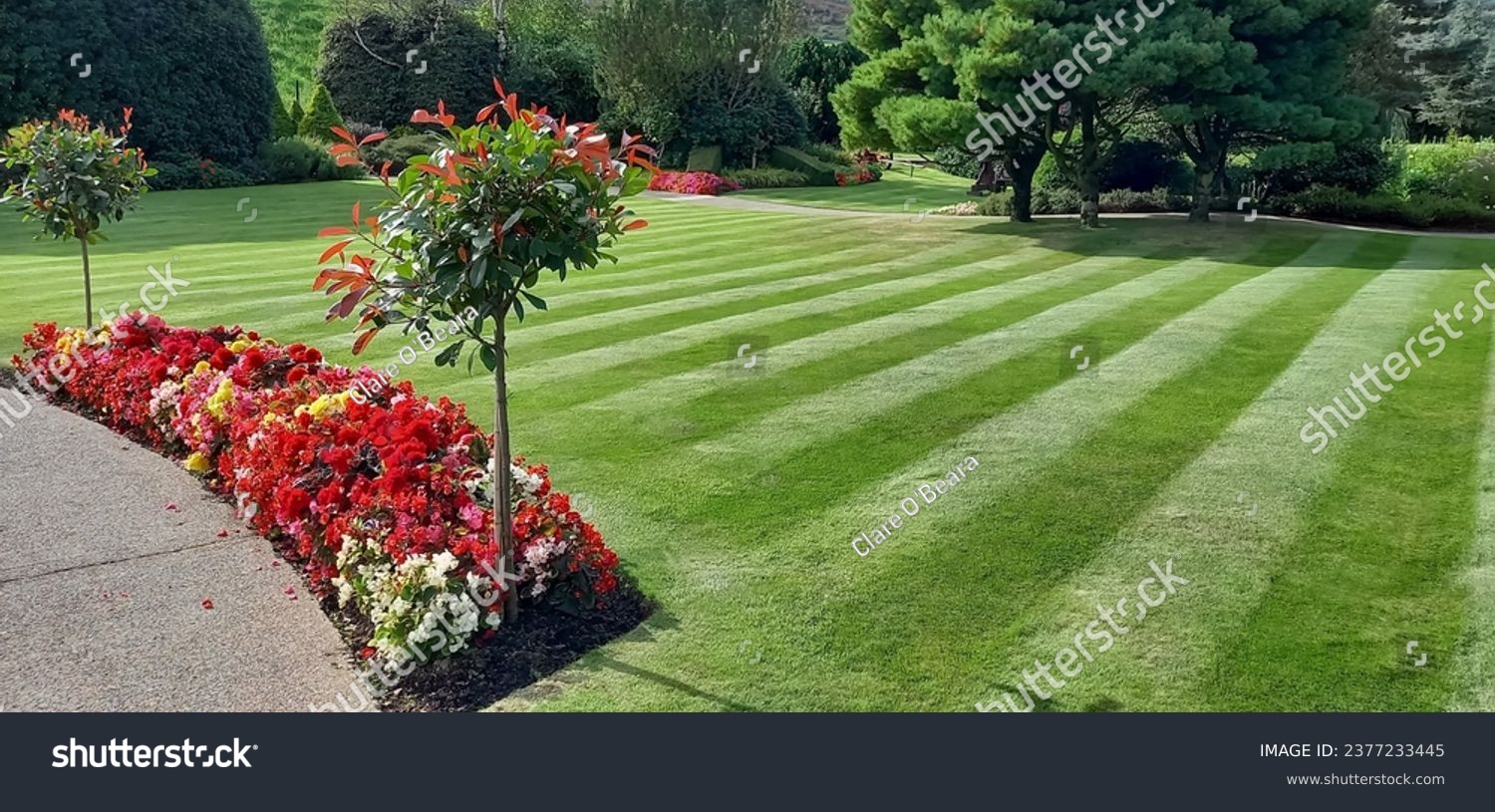Lawn cut in stripes with flowerbeds #2377233445