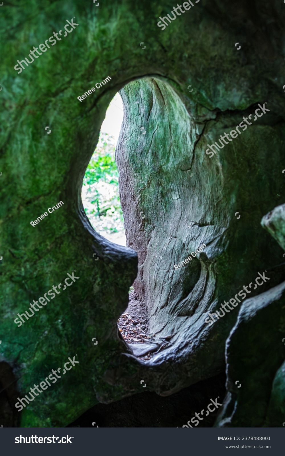 Looking out through the interesting natural stone doorway of Druid's Cave at Blarney Castle in Ireland #2378488001