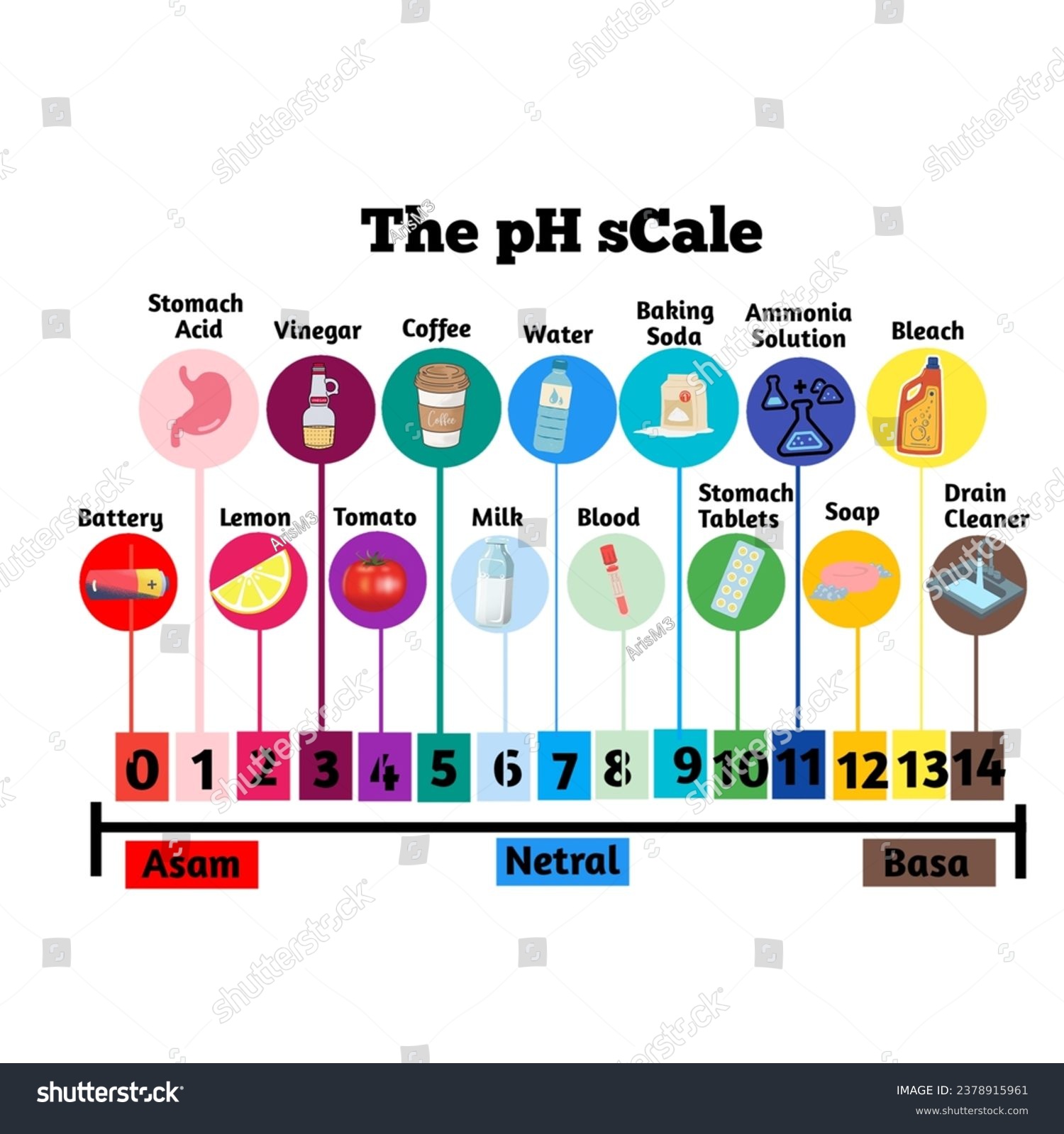 Acid, Base and pH Scale - Royalty Free Stock Vector 2378915961 - Avopix.com