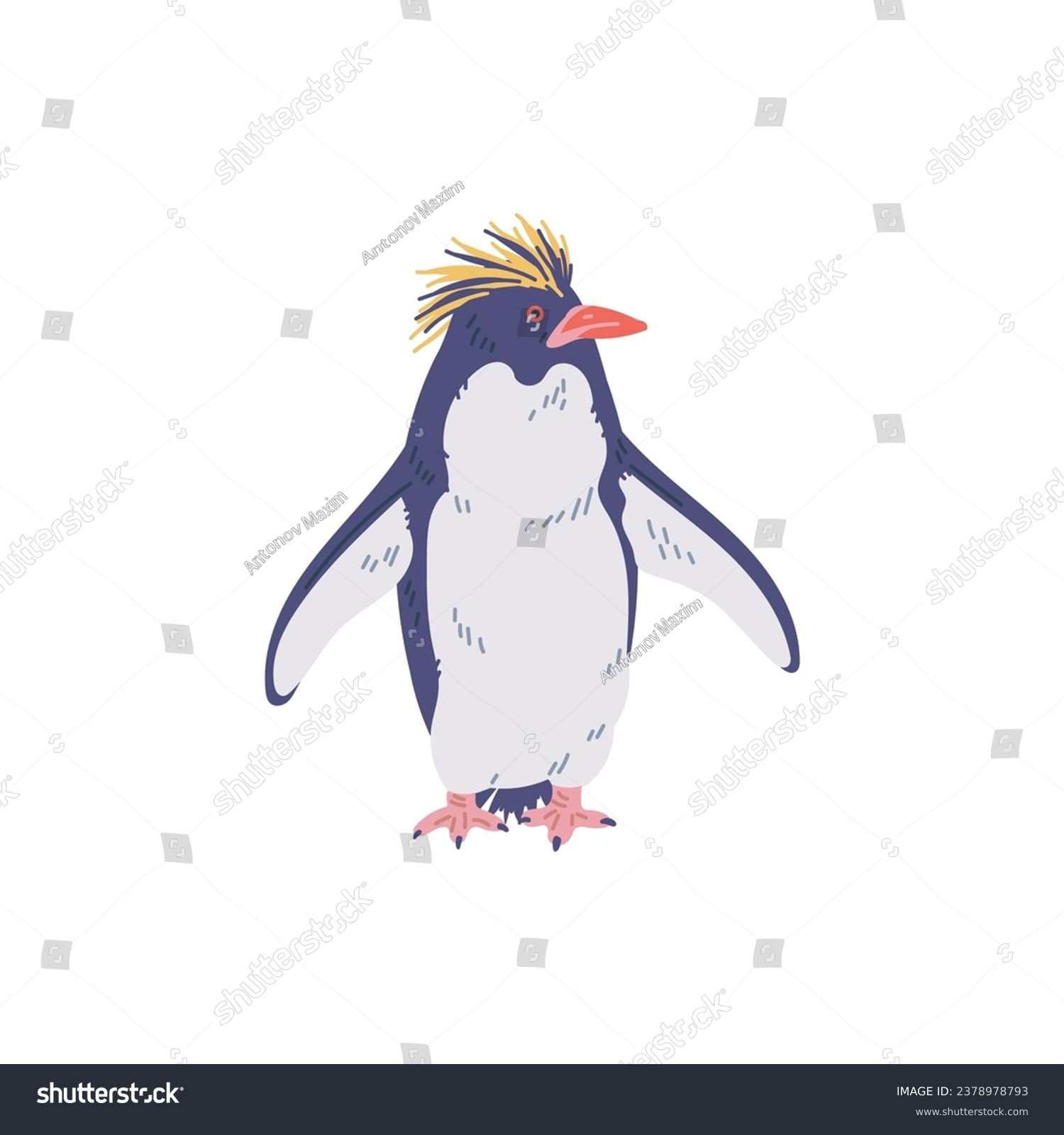 Rockhopper penguin, vector flat cartoon - Royalty Free Stock Vector ...