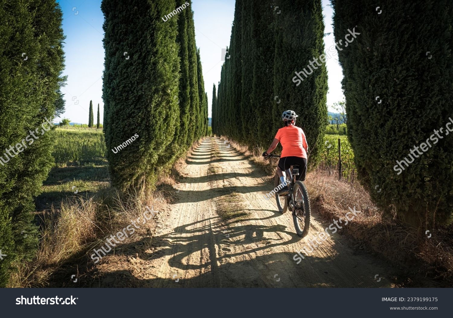 nice senior woman riding her electric mountain bike in a cypress avenue in the Ghianti Area of Tuscany,Italy #2379199175