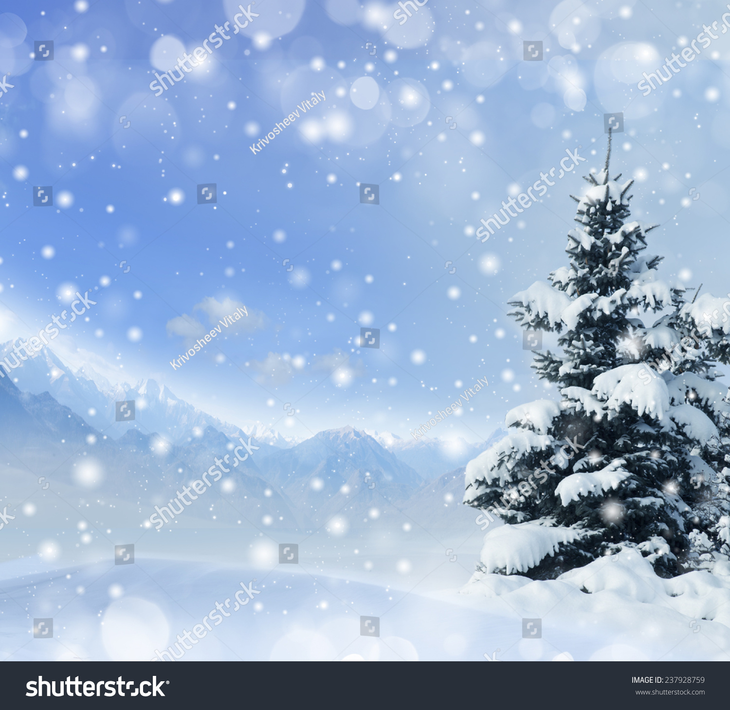 Winter background with snow and spruce #237928759