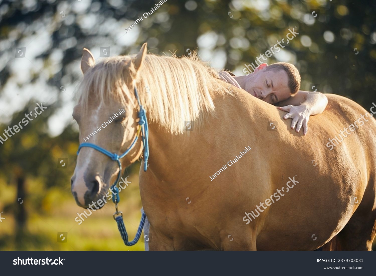 Man lying embracing of therapy horse. Themes hippotherapy, care and friendship between people and animals.
 #2379703031