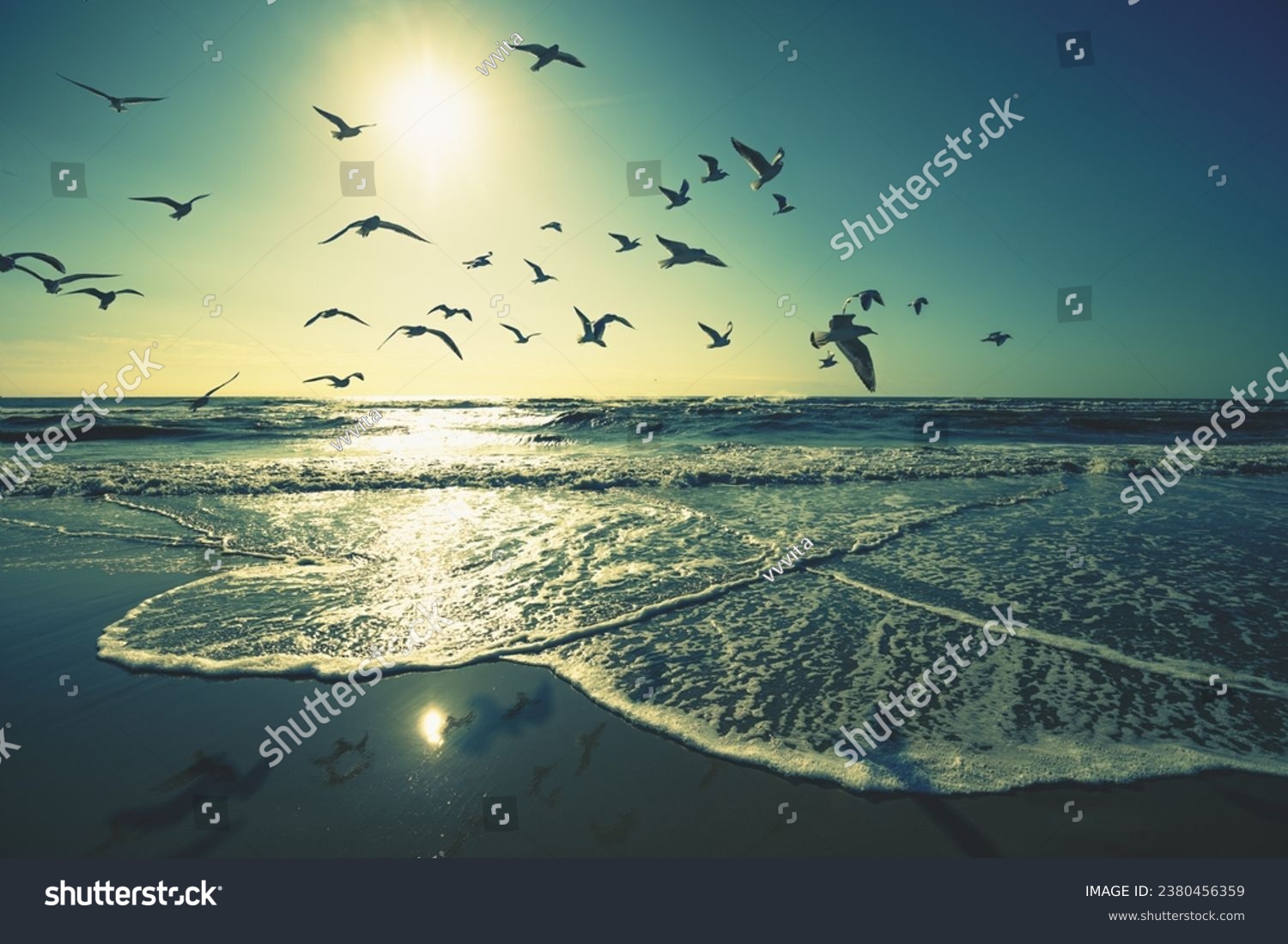 Seascape in the evening. Sunset over the sea. Seagulls flying on the beach. Atlantic ocean in the evening. Porto, Portugal, Europe #2380456359