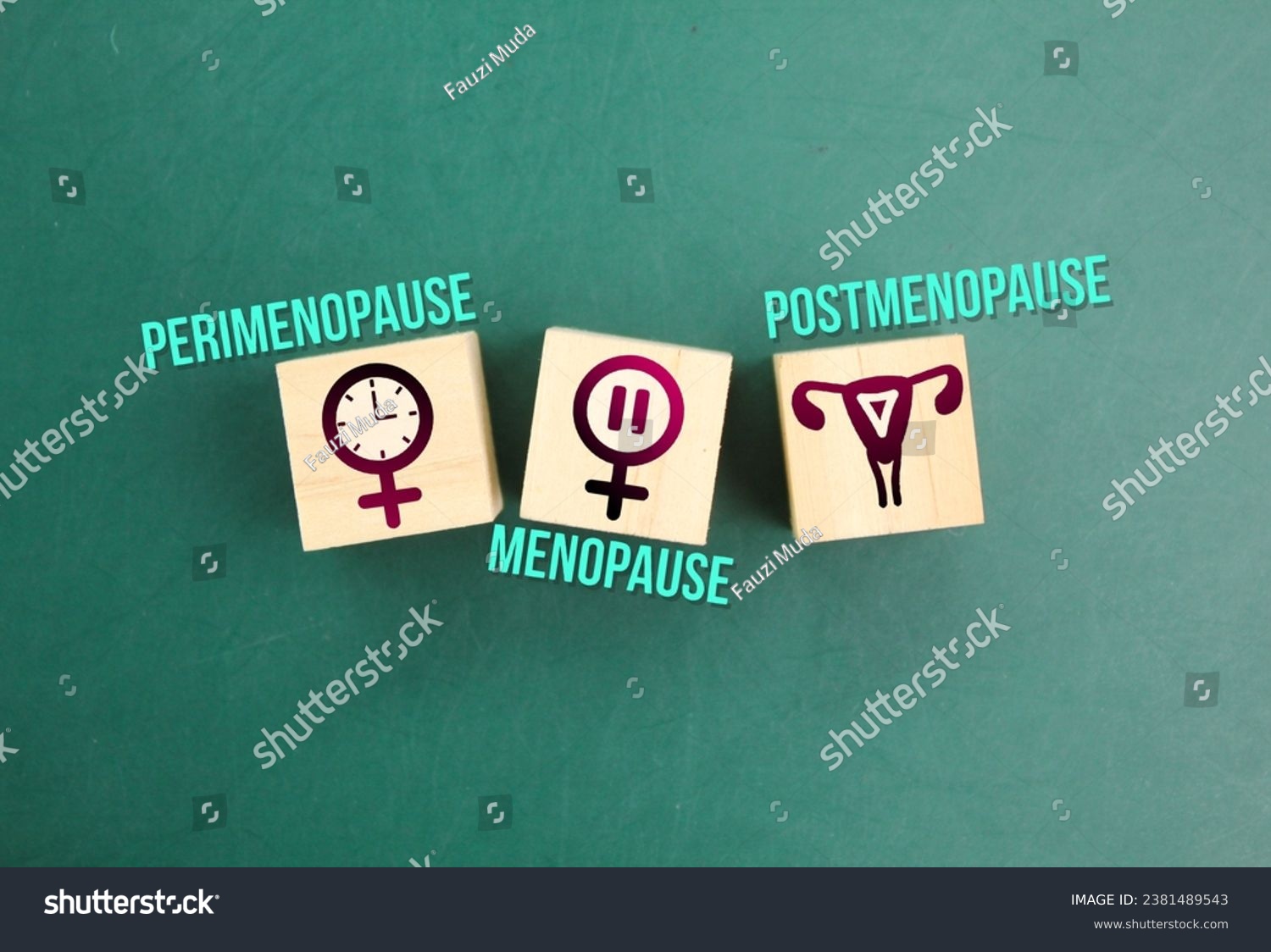 words perimenopause, menopause and postmenopause. the concept of menopause stage or period or age #2381489543