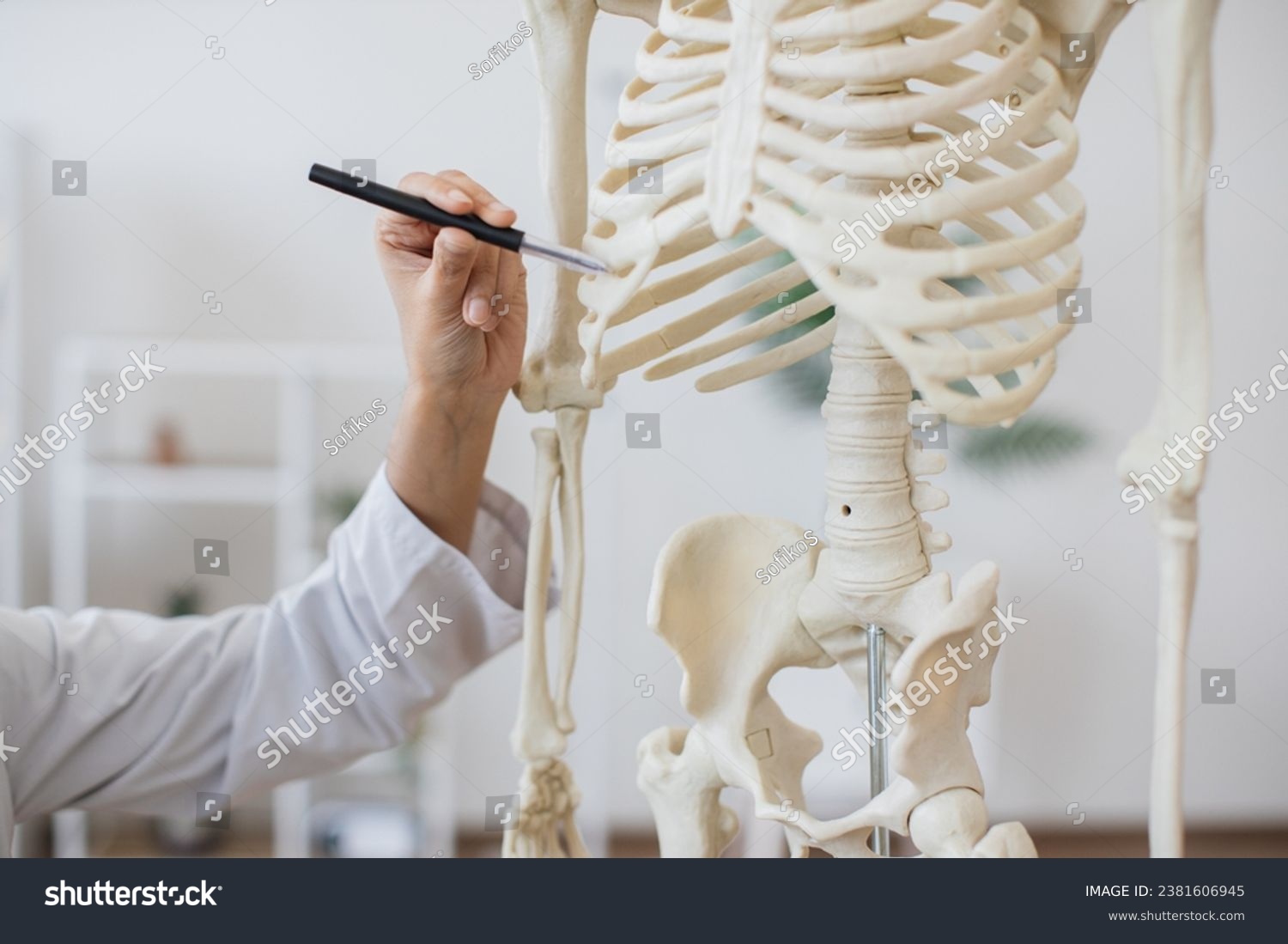 Close up of hand of female doctor dressed in medical gown pointing with pen to rib bone on plastic model of human body. Detailed structure of skeleton demonstrating places of diseases in patient. #2381606945