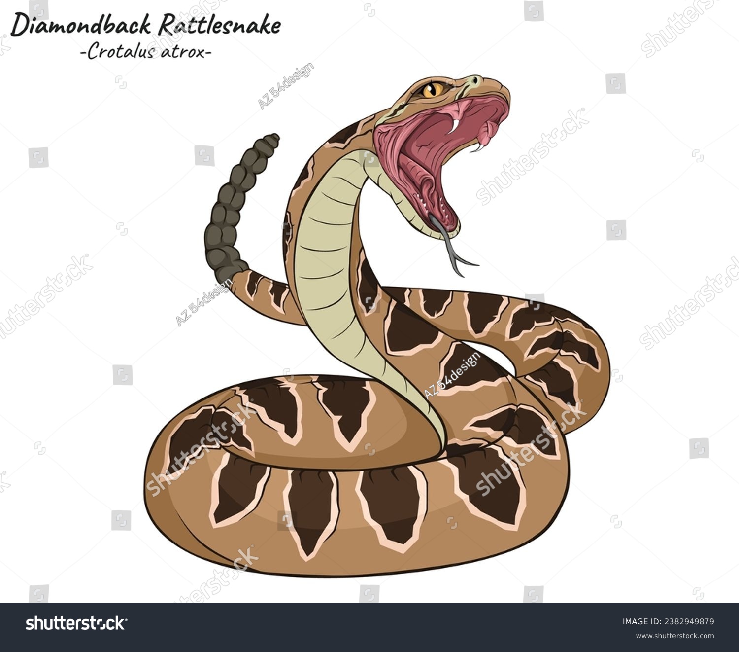 Diamondback Rattlesnake illustration. Reptile - Royalty Free Stock ...