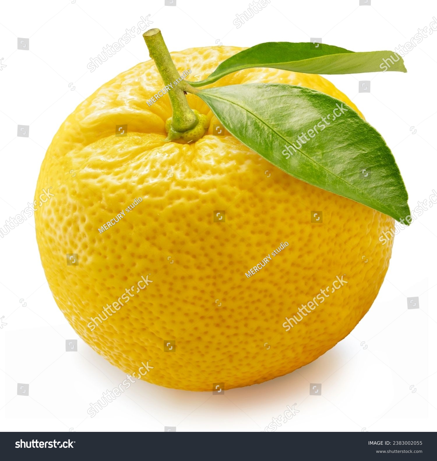 Kochi Yuzu orange isolated on white background With work path, Yellow Yuzu Orange fruit isolated on white background. #2383002055