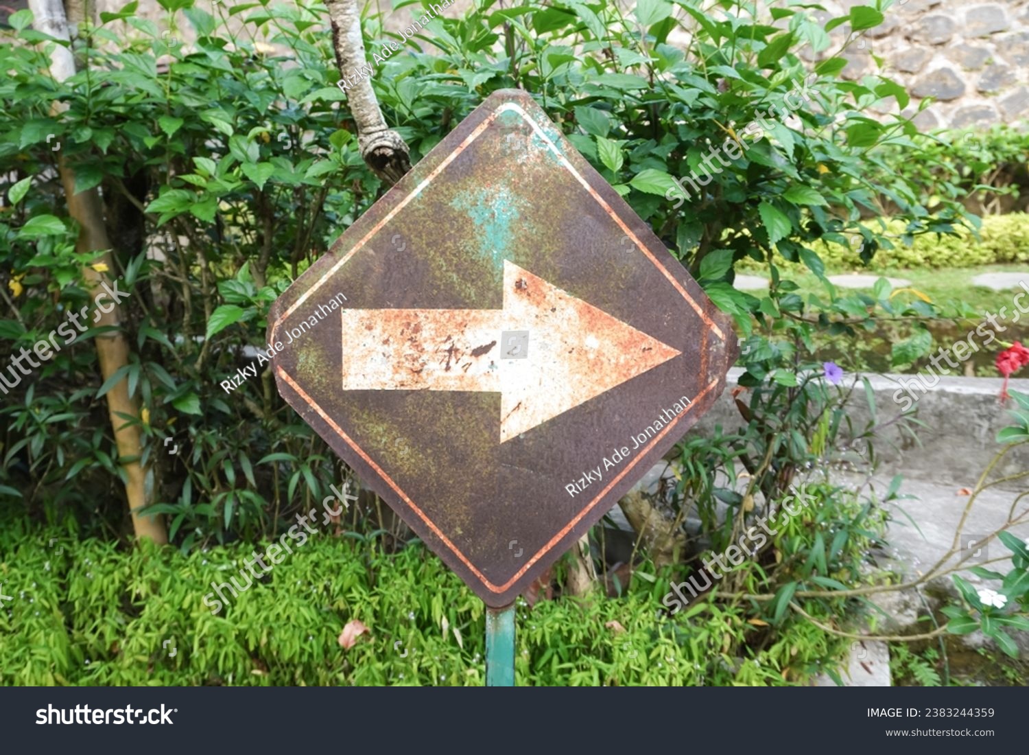 Weathered Turn Right sign on rusty colored board with garden backgrounds. White arrow turn right allowed sign. #2383244359