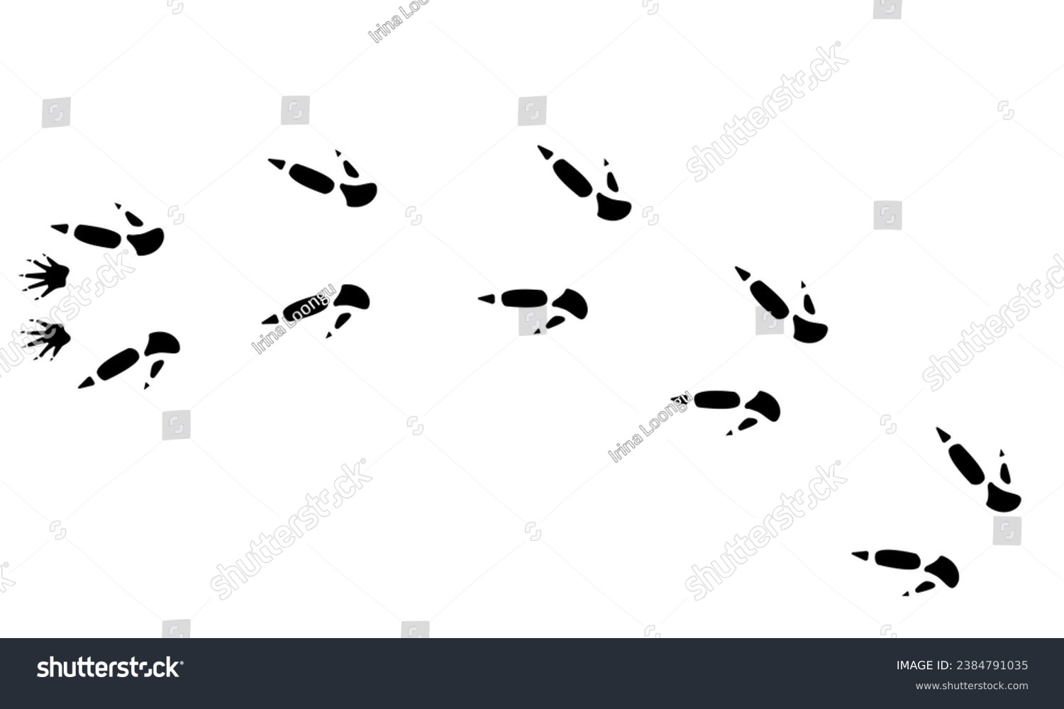 Australian animal , paw prints, vector - Royalty Free Stock Vector ...