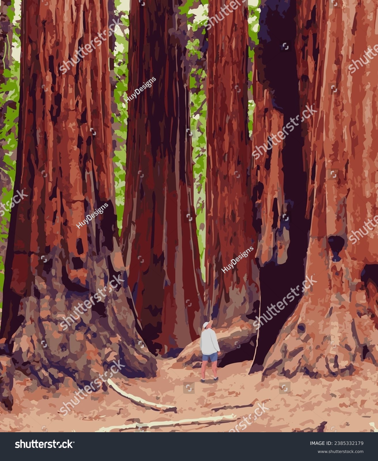 Vector art of Redwood National Park with an - Royalty Free Stock Vector ...