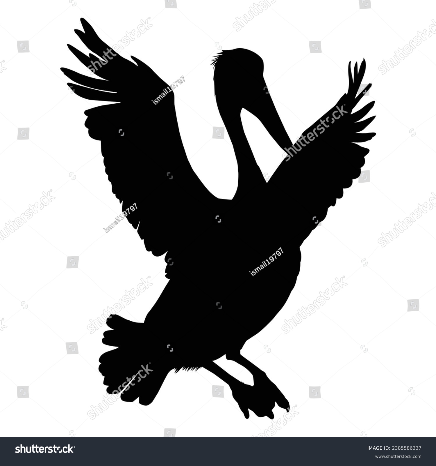 Pelican Flying Silhouette on White Background - Royalty Free Stock ...