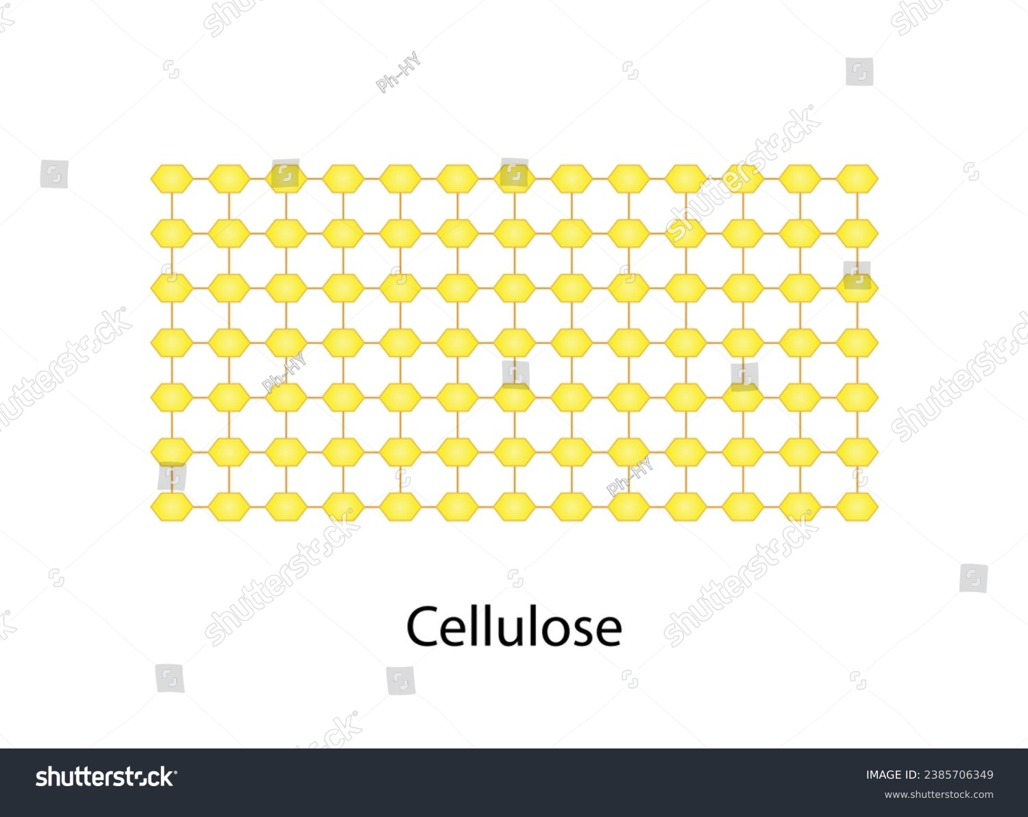 Cellulose structure, polysaccharide. Vector Illustration. #2385706349
