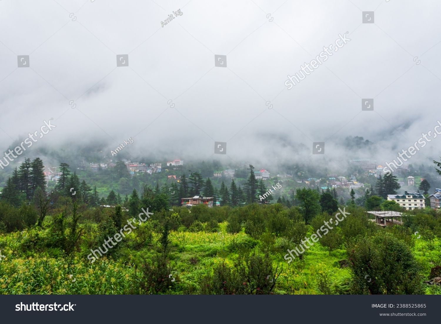 Old Manali town shrouded in misty clouds in Monsoon season. It is a popular Heaven for back packers and nature lovers for its natural beauty of Himalayas in Kullu region. #2388525865