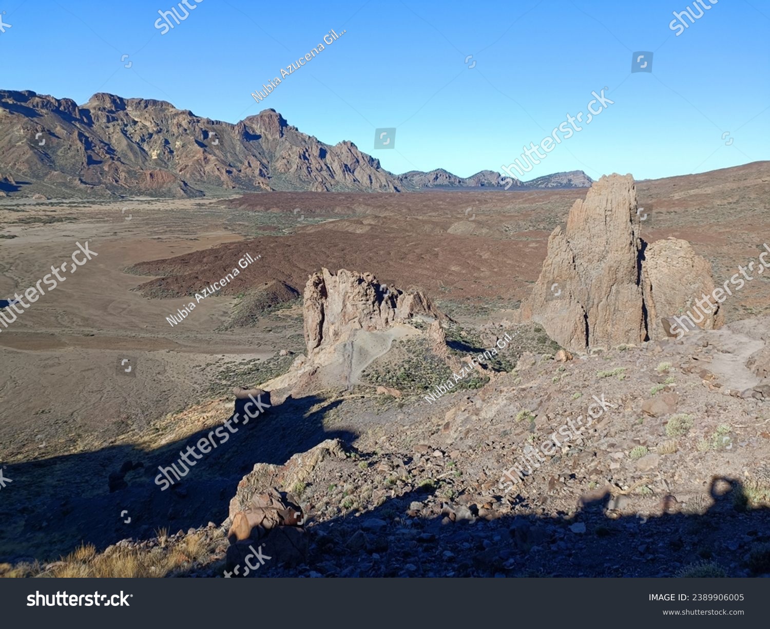 Surroundings of Teide. Volcano located on the Spanish island of Tenerife, you can see the inhospitable terrain, blue sky, large rocks of volcanic origin and typical vegetation. #2389906005