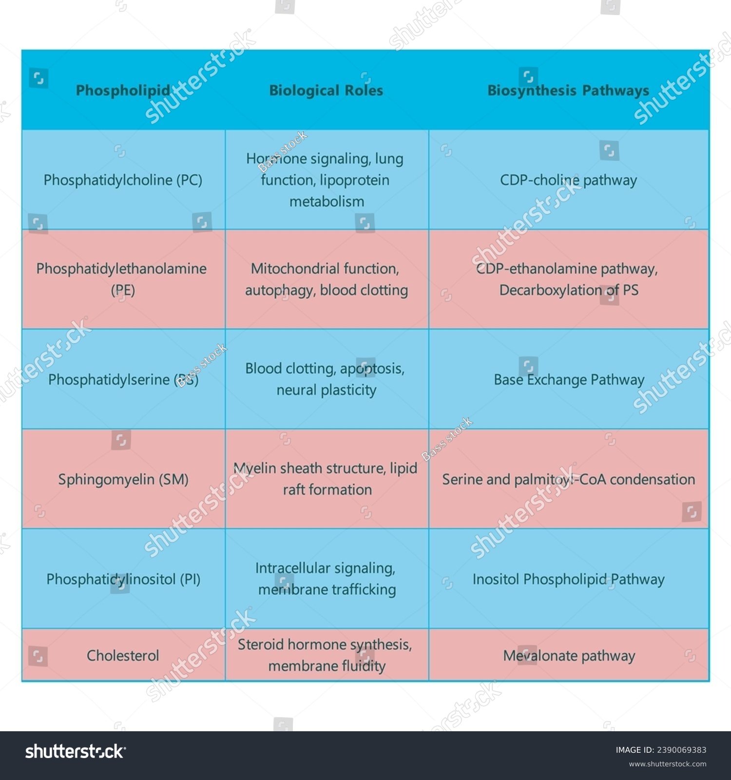 Table showing Phospholipids types, biological - Royalty Free Stock ...