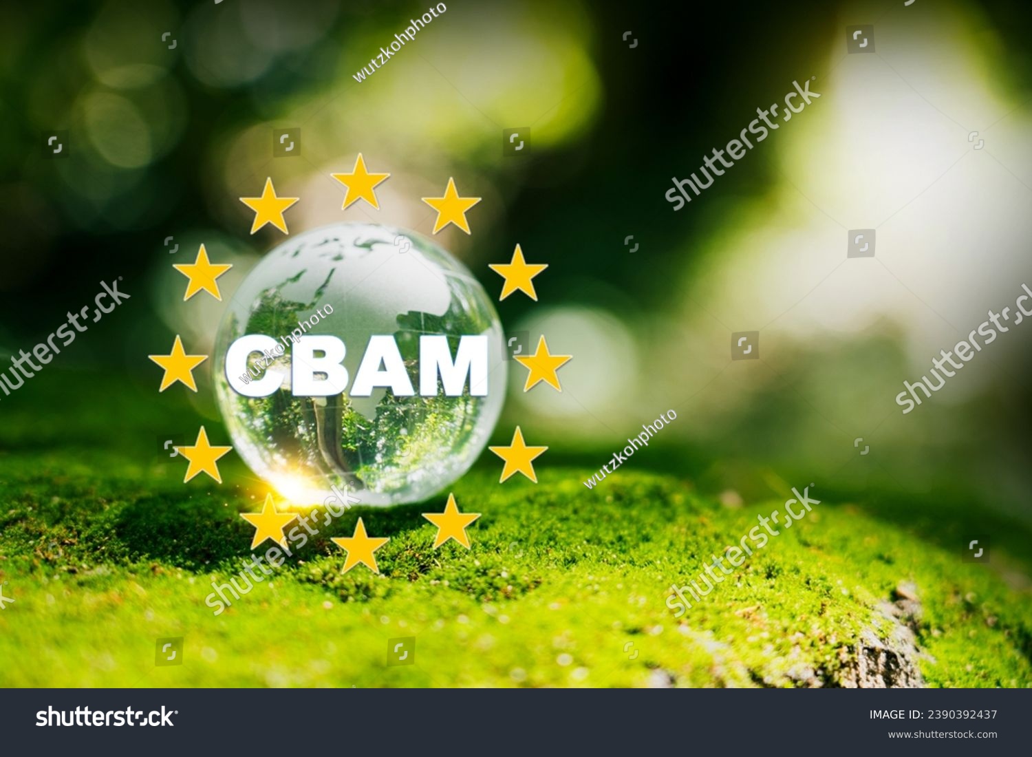 The first carbon-tariff system, the EU Carbon Border Adjustment Mechanism (CBAM). #2390392437