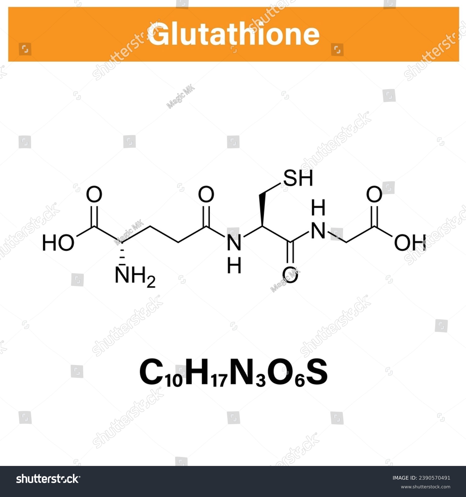 Glutathione Reduced Glutathione Gsh Royalty Free Stock Vector 2390570491 1351