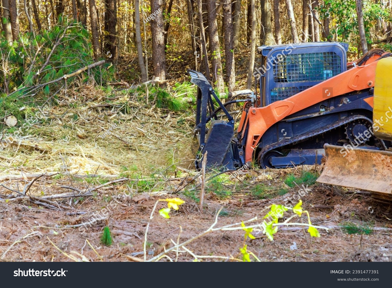 During clean forest contractor used tracked general purpose vehicles equipped with forestry mulchers #2391477391