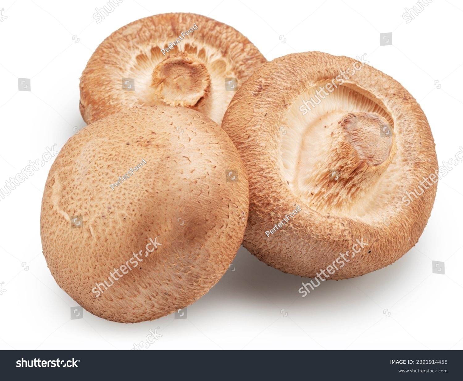 Shiitake - edible asian mushrooms isolated on white background. File contains clipping path. #2391914455