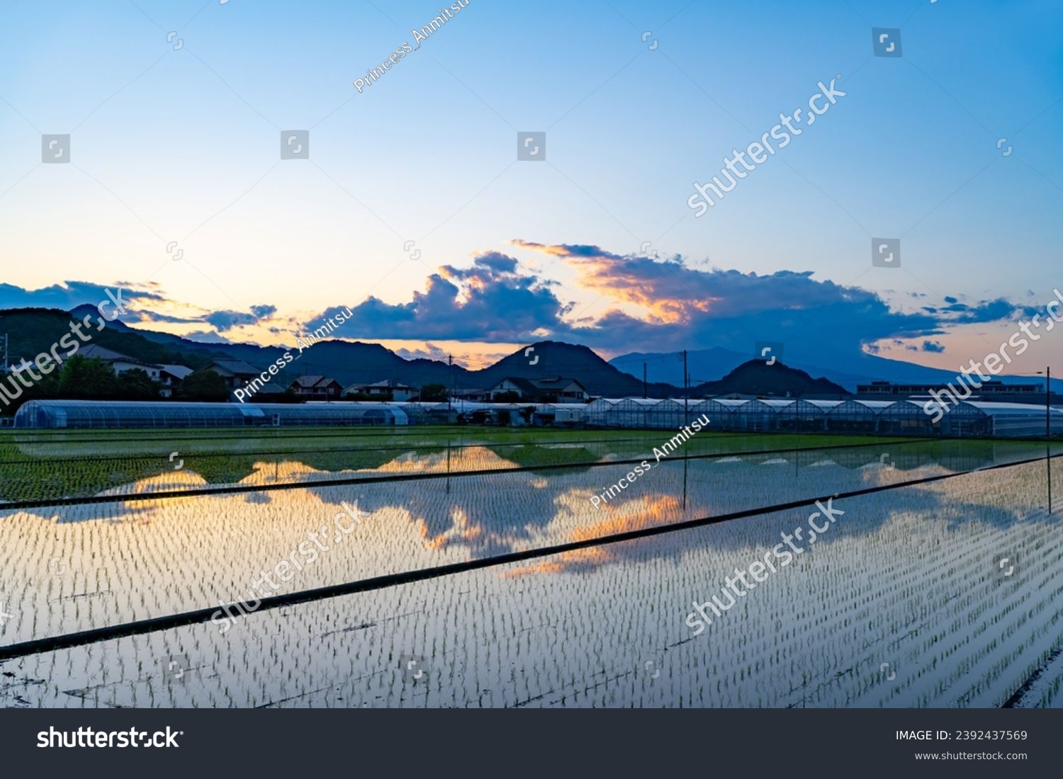 Beautiful evening countryside scene with reflection of the blue sky #2392437569