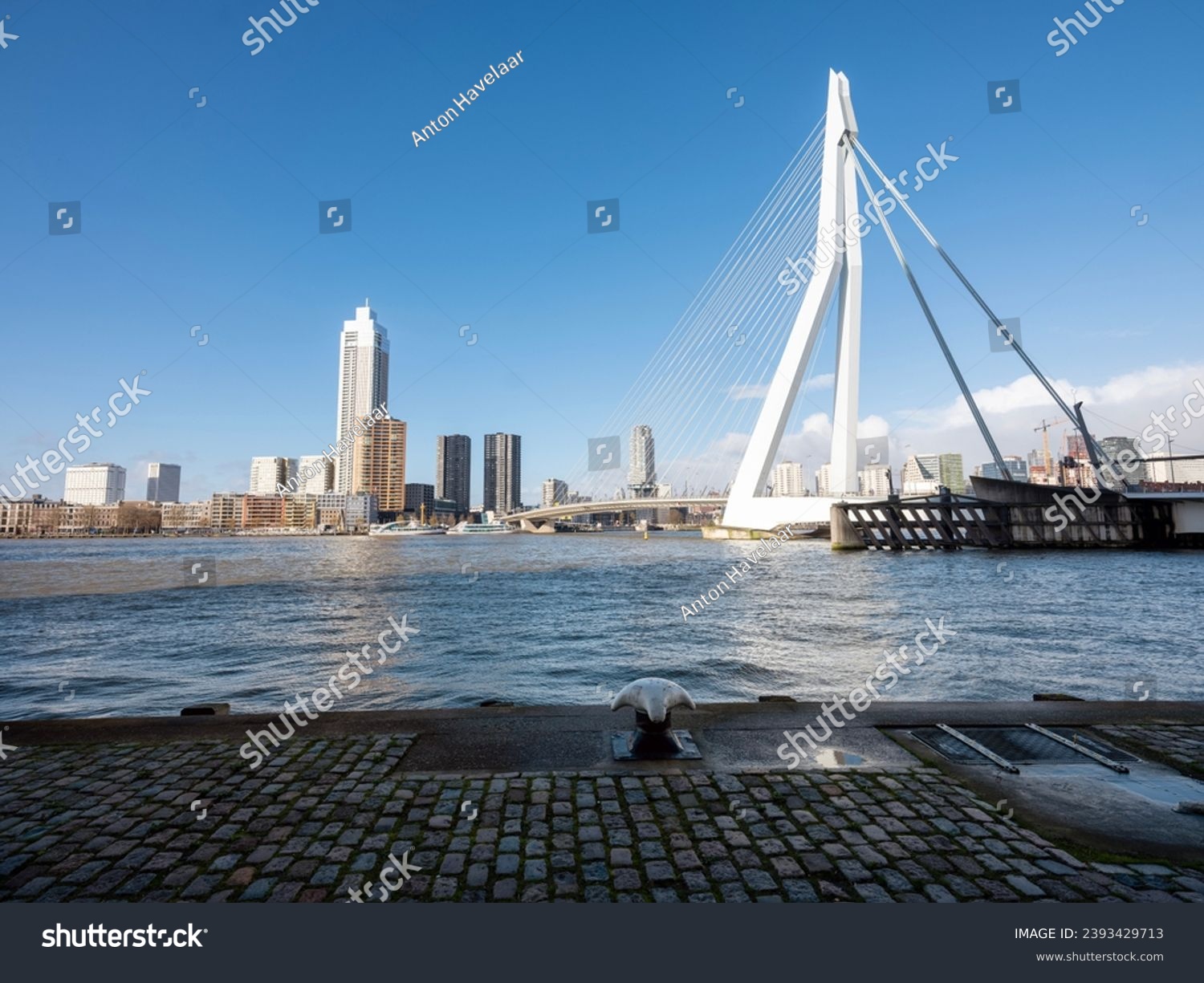 nieuwe maas river and erasmus bridge seen from waterfront of kop van zuid in dutch city of rotterdam on sunny day with blue sky #2393429713