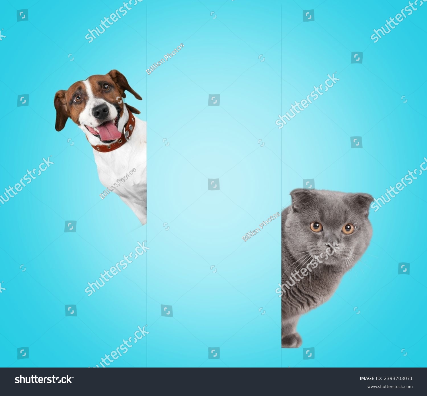 Portrait of happy young pets behind a wall. #2393703071