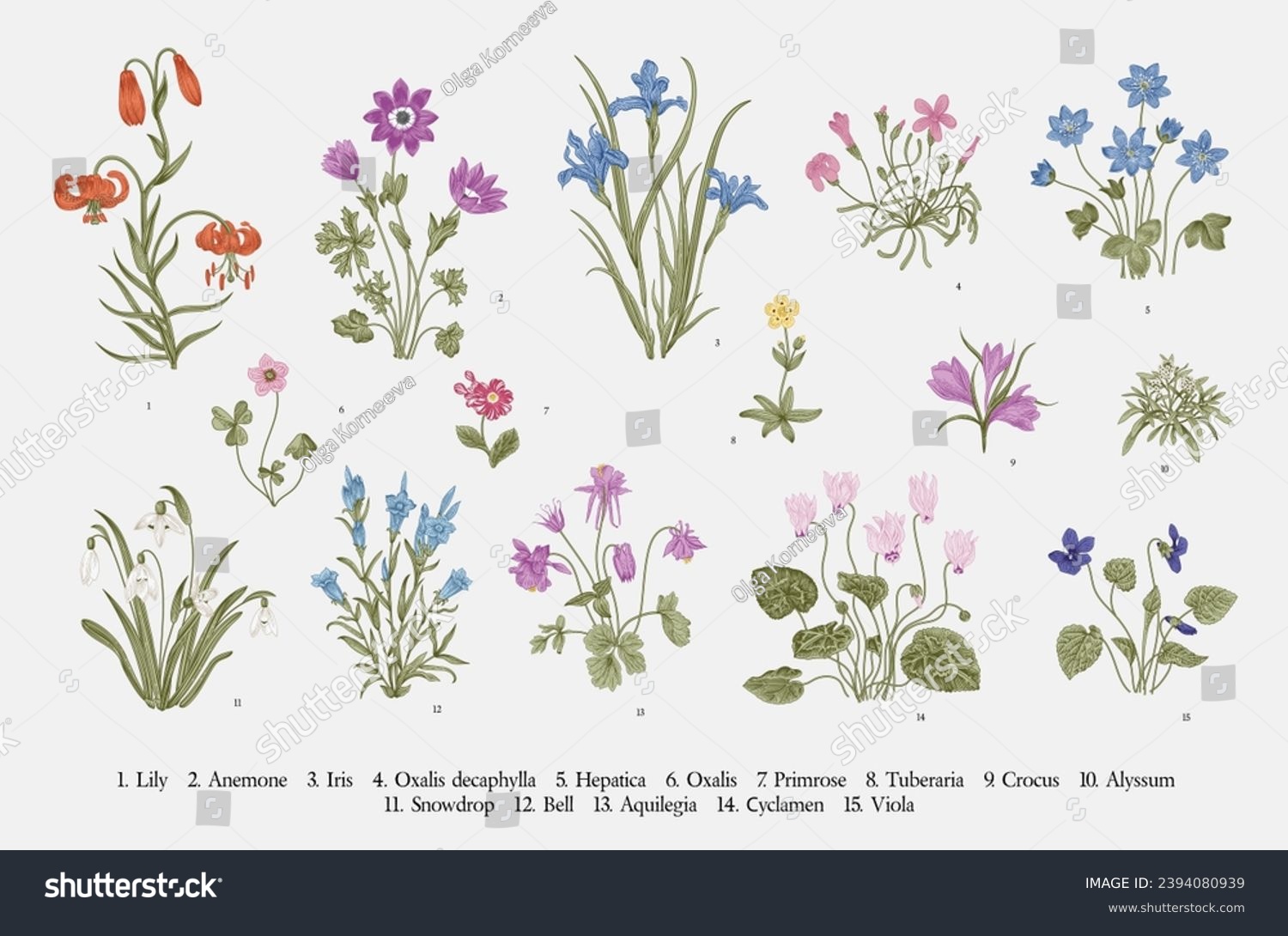 Millefleurs. Second set. Vintage vector botanical illustration. #2394080939