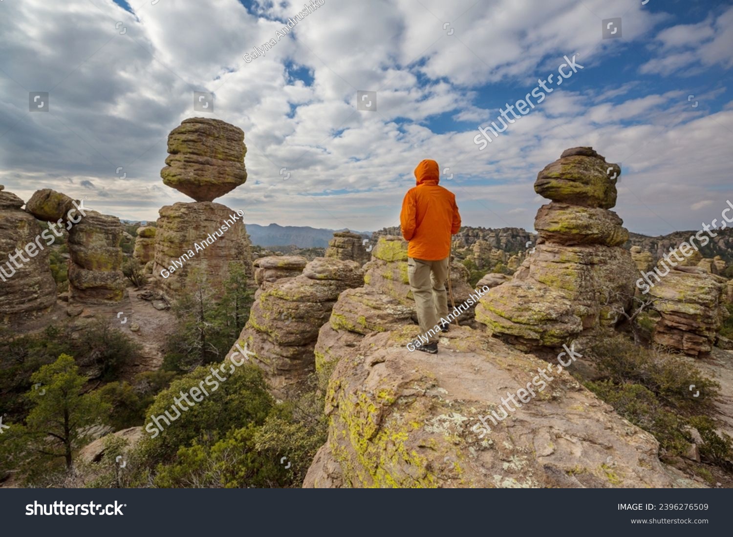Unusual  landscape at the Chiricahua National Monument, Arizona, USA #2396276509