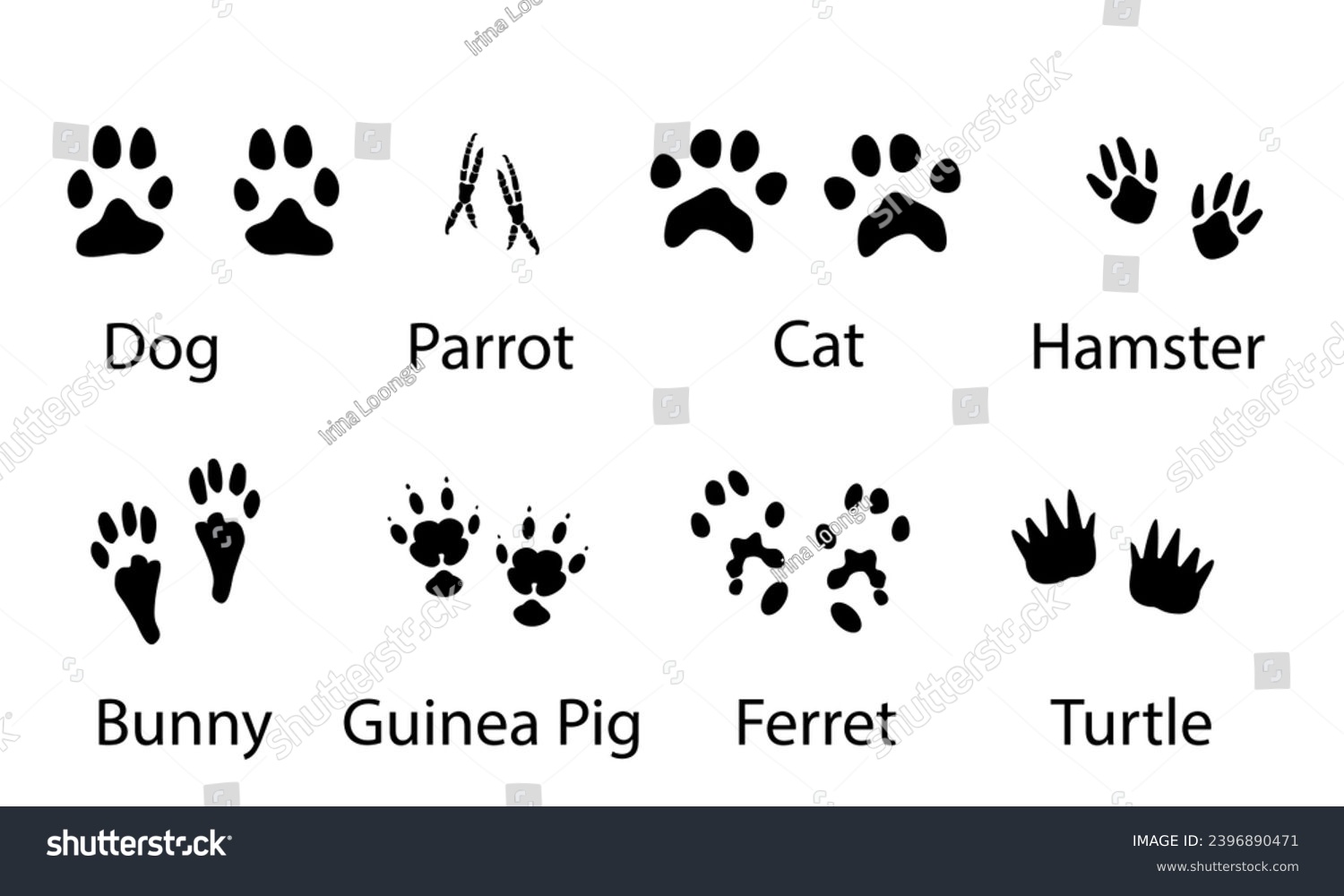 Vector set illustration of domestic animal paw - Royalty Free Stock ...