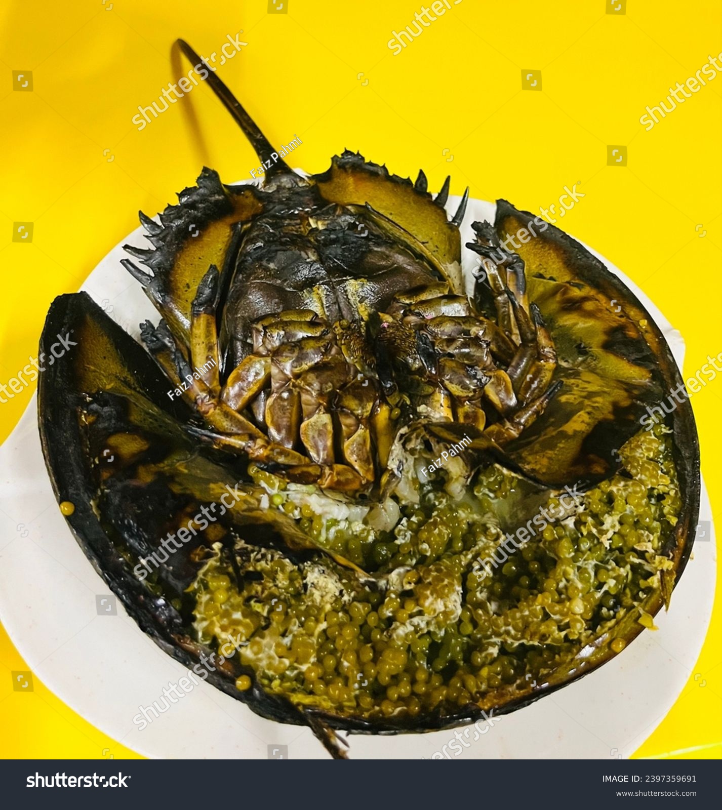 Horseshoe crabs are marine and brackish water arthropods of the family Limulidae and the only living members of the order Xiphosura. Mostly in Malaysia we are eating their egg. #2397359691
