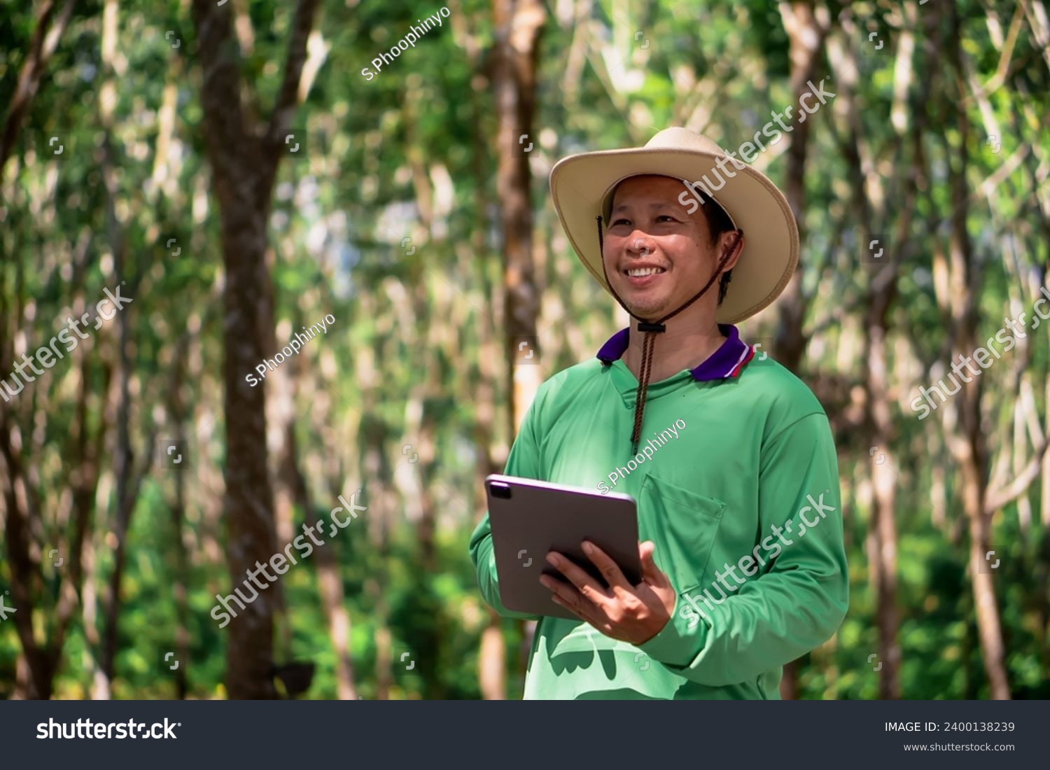 A Rubber trees and plastic bowls in a rubber plantation. A rubber technician expertly tapping rubber trees to collect their precious latex. digital farmer. #2400138239