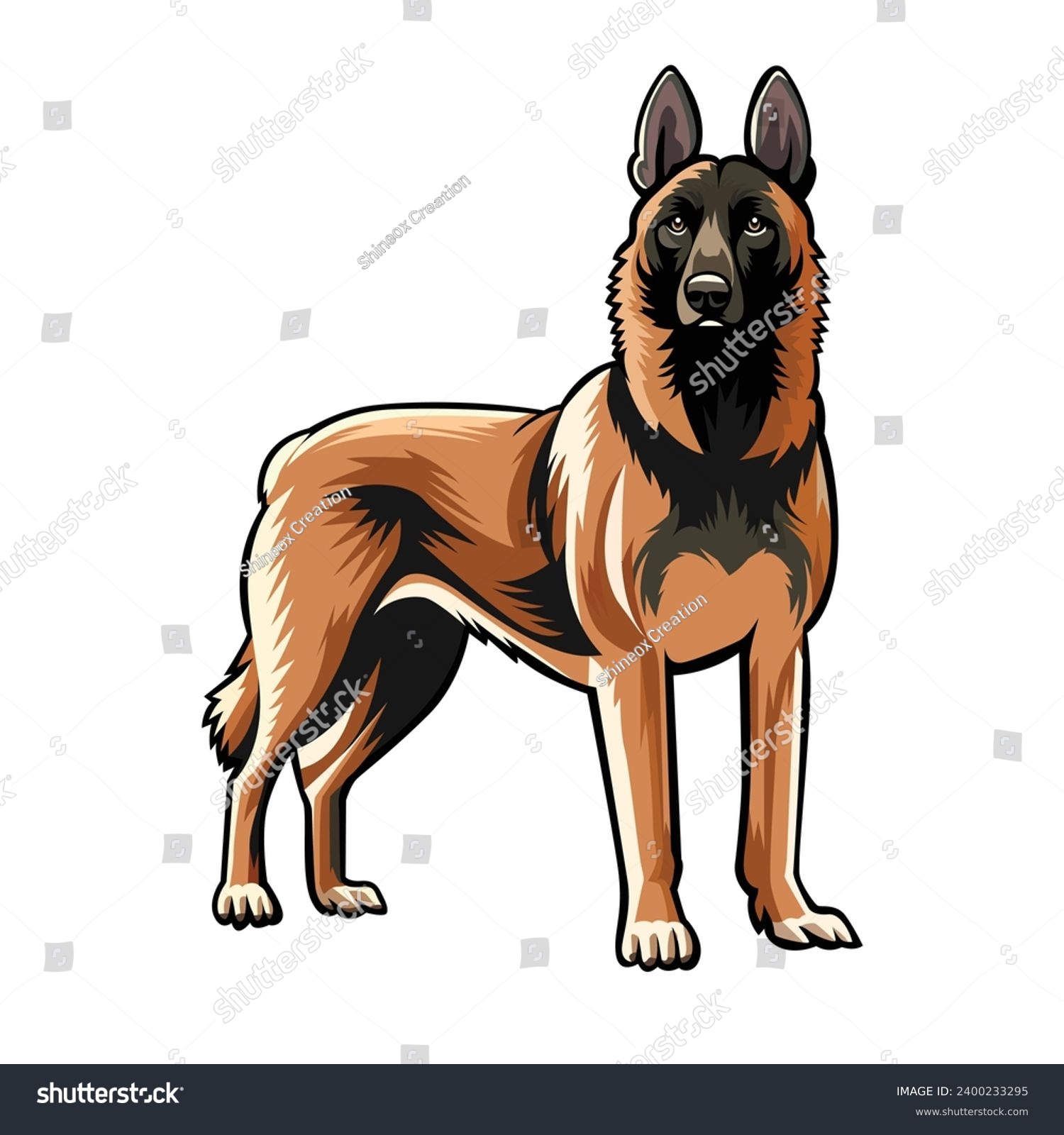 Belgian Malinois vector isolated. This versatile design is ideal for prints, t-shirt, mug, sticker, poster, and many other tasks. Good for any commercial use. #2400233295