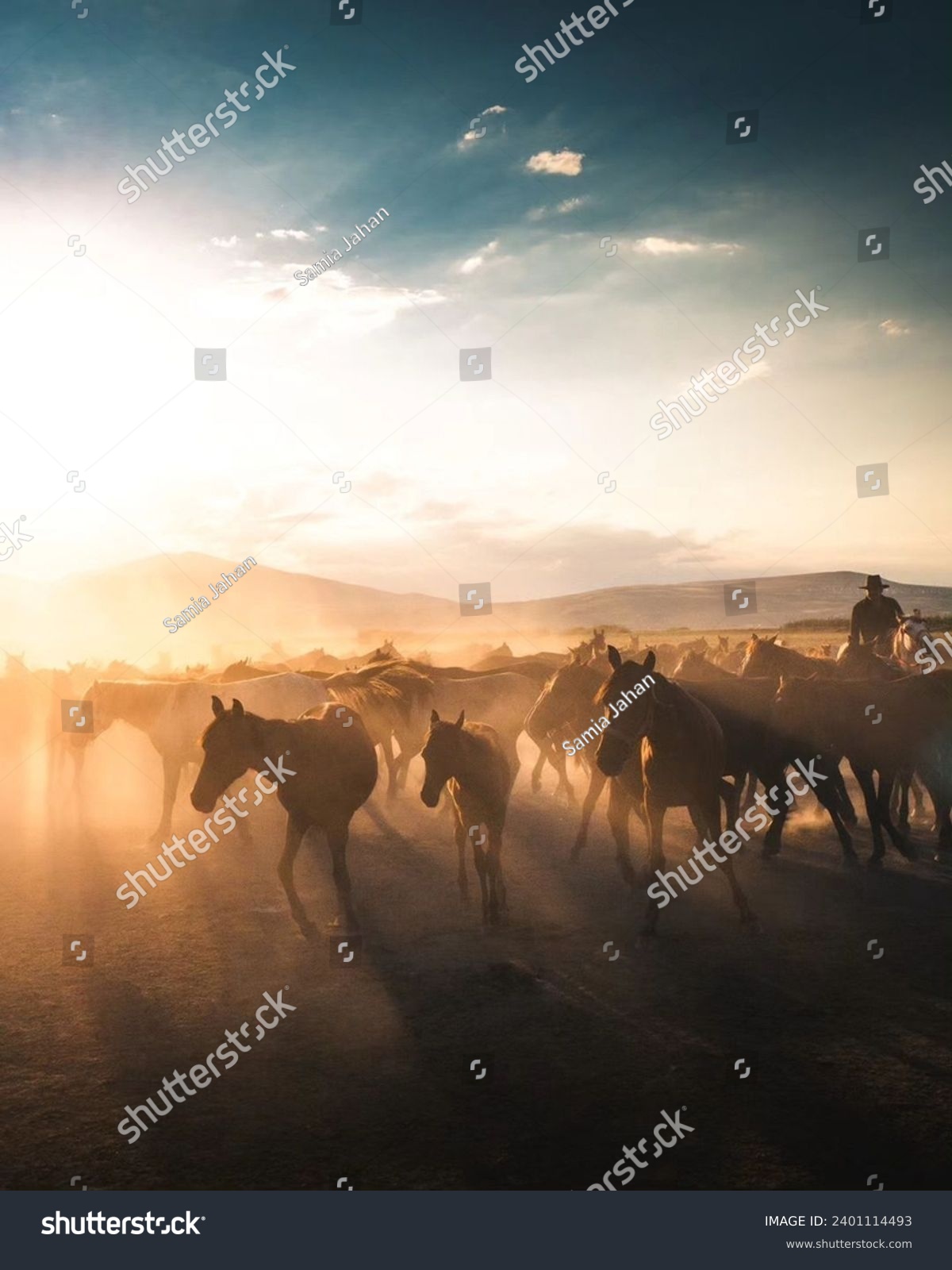 Cowboy with herd of horses on the Field with beautiful sunset and sky in the background. #2401114493