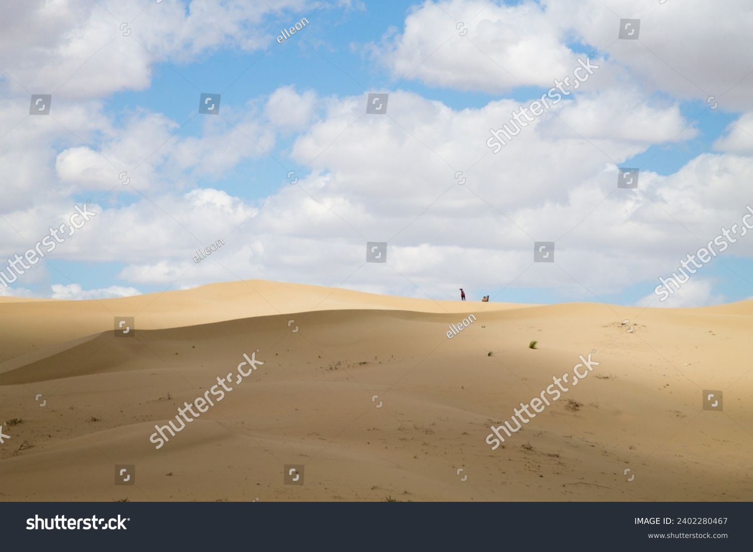 Tuyesu dunes landscape, Senek, Mangystau region, Kazakhstan. Desert landscape #2402280467