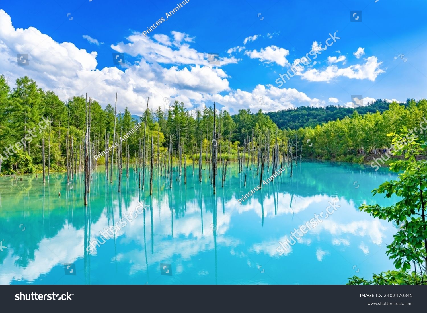 Blue Pond in Shirokane, Biei-cho, Hokkaido (summer season) #2402470345