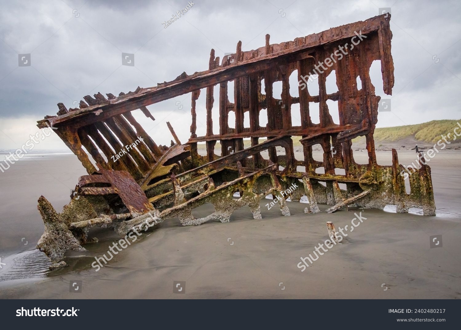 Wreck of the Peter Iredale at Fort Stevens State Park in Oregon, USA #2402480217