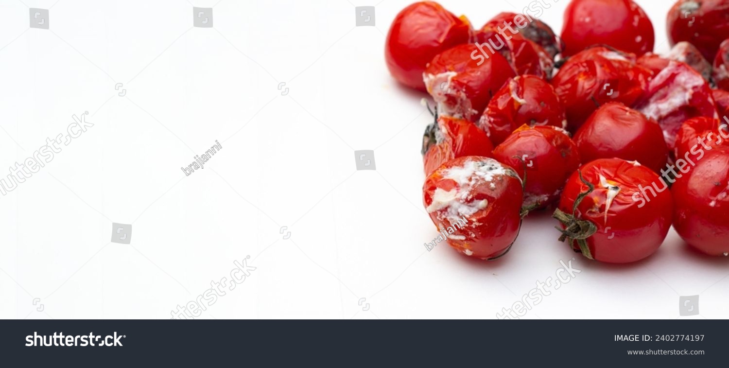 Front view. Red rotten cherry tomato with mold, isolated on white background. Concept of healthy food, trash, garbage, spoiled product, autumn, fall, poor, diet. Copy space for text. Horizontal banner #2402774197
