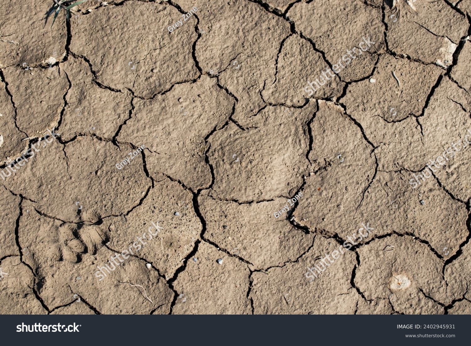 Barren Beauty: Ground Texture with Intricate Cracks #2402945931