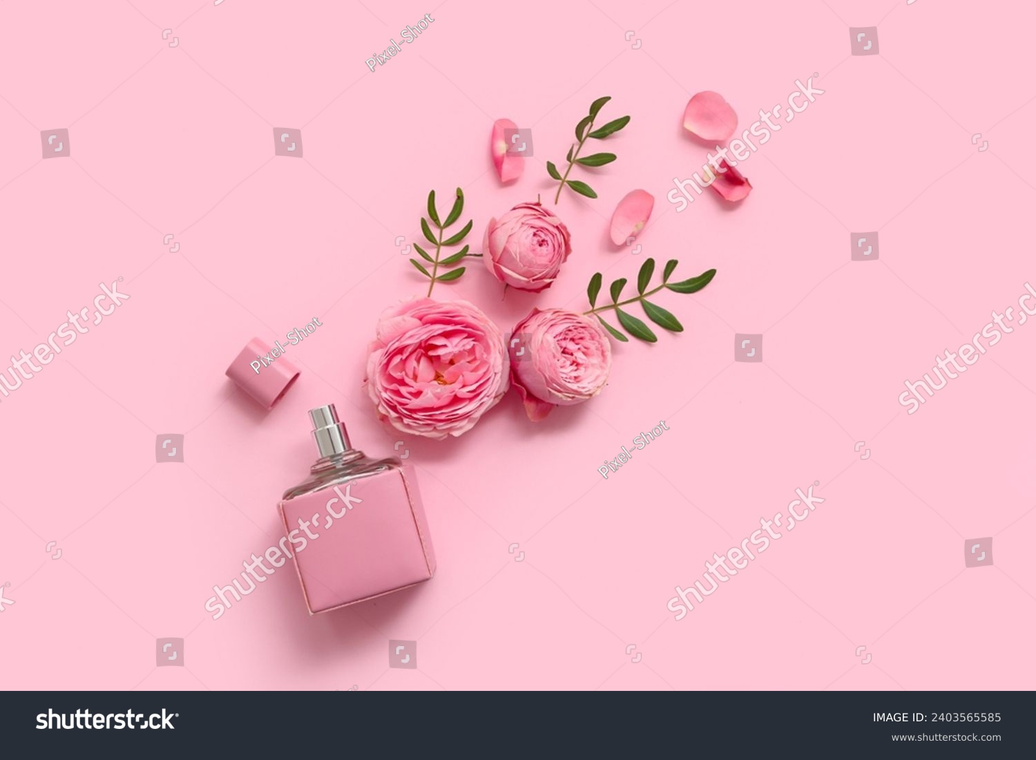 Beautiful composition with bottle of perfume and rose flowers on pink background #2403565585