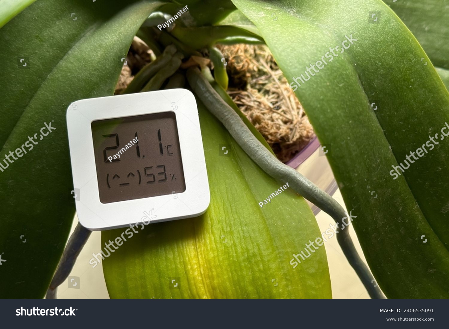 Hygrometer and orchid. The hygrometer displays humidity and temperature near the orchid flower. #2406535091